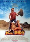 Joe Dirt (2001).jpg